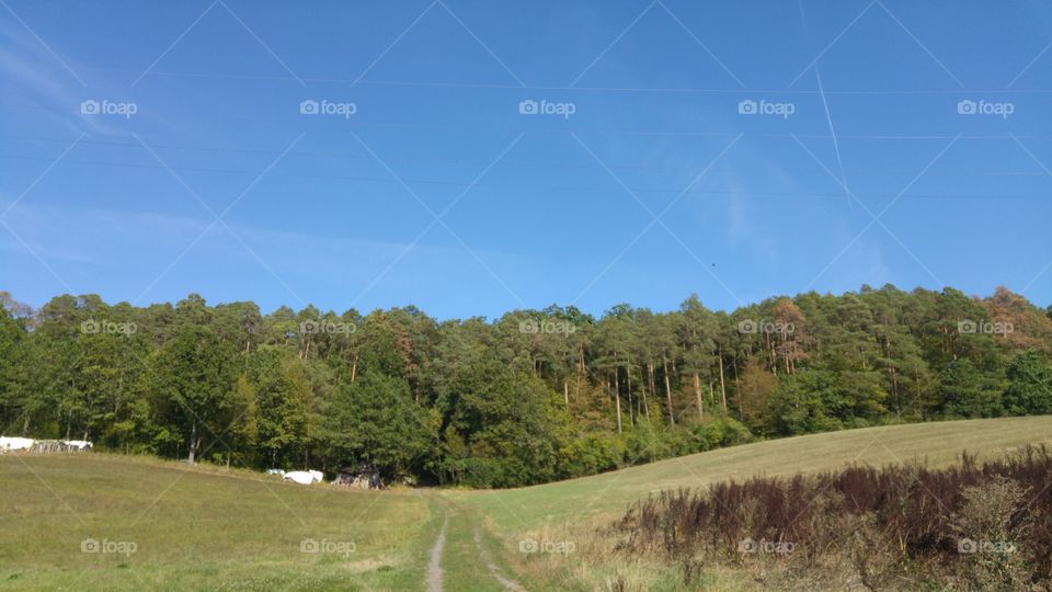 Wanderweg, der in den Wald führt. Durch den Wald Richtung Lichtung, wo zwei Windräder auf der Erhöhung stehen.