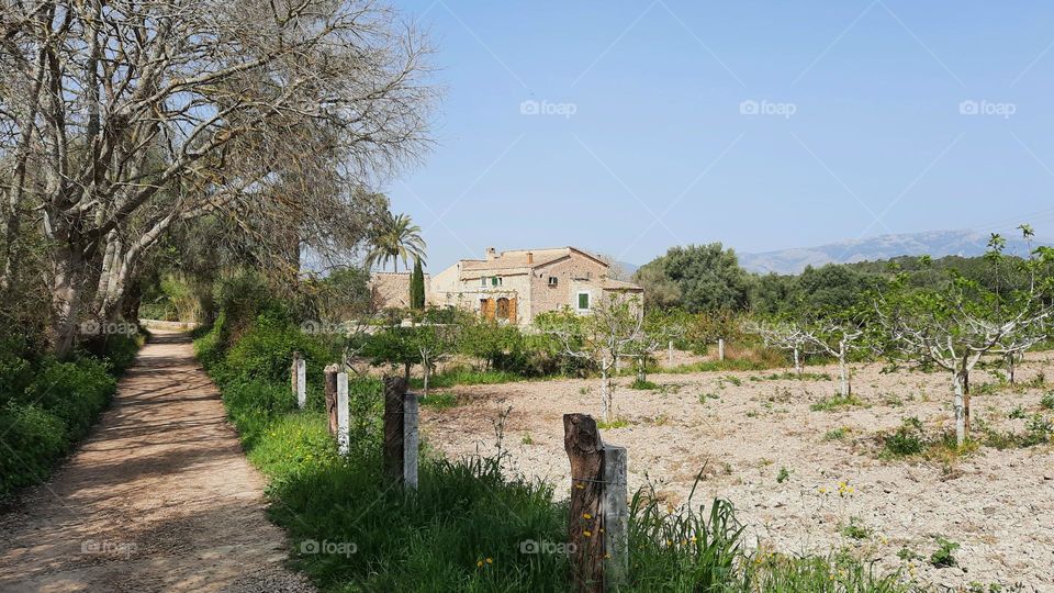 Majorcan rural stone house. A path with trees on the left side of the image. House and some lands for crops on the right side. Mountains at the background. Located in Marratxi