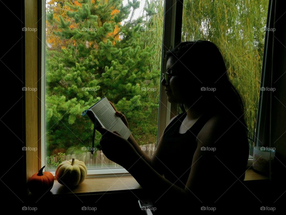 shadow reading indoor book shade silhouette pumpkin