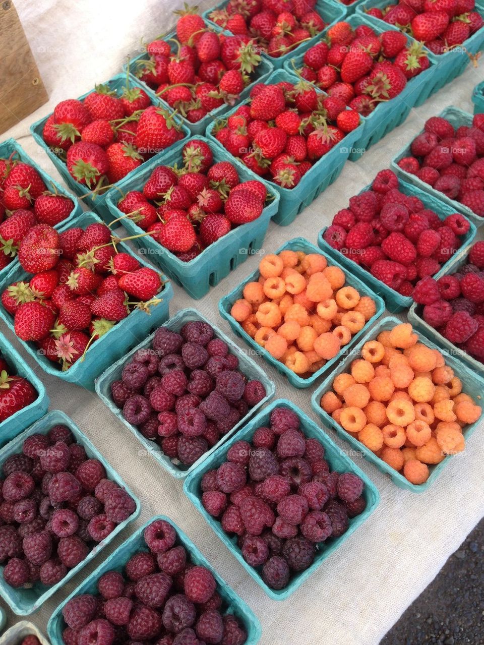 Fresh from the field