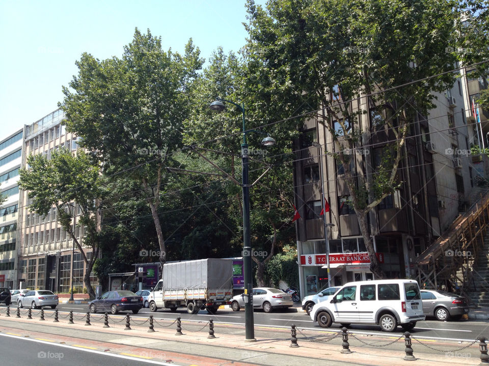 car tree cars traffic by linhof