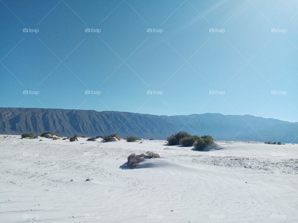 Dunas del yeso, Coahuila