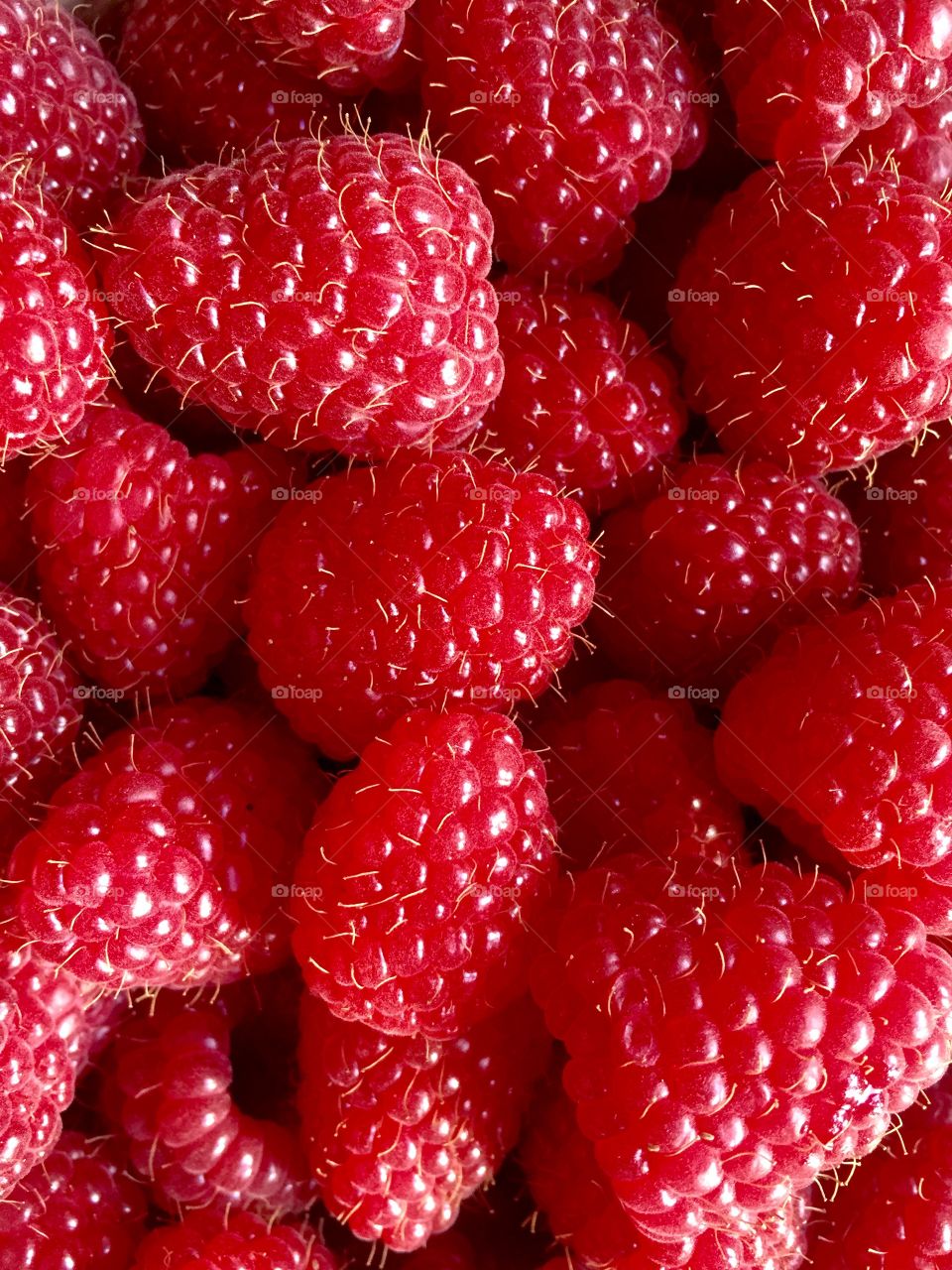 Full frame of raspberries