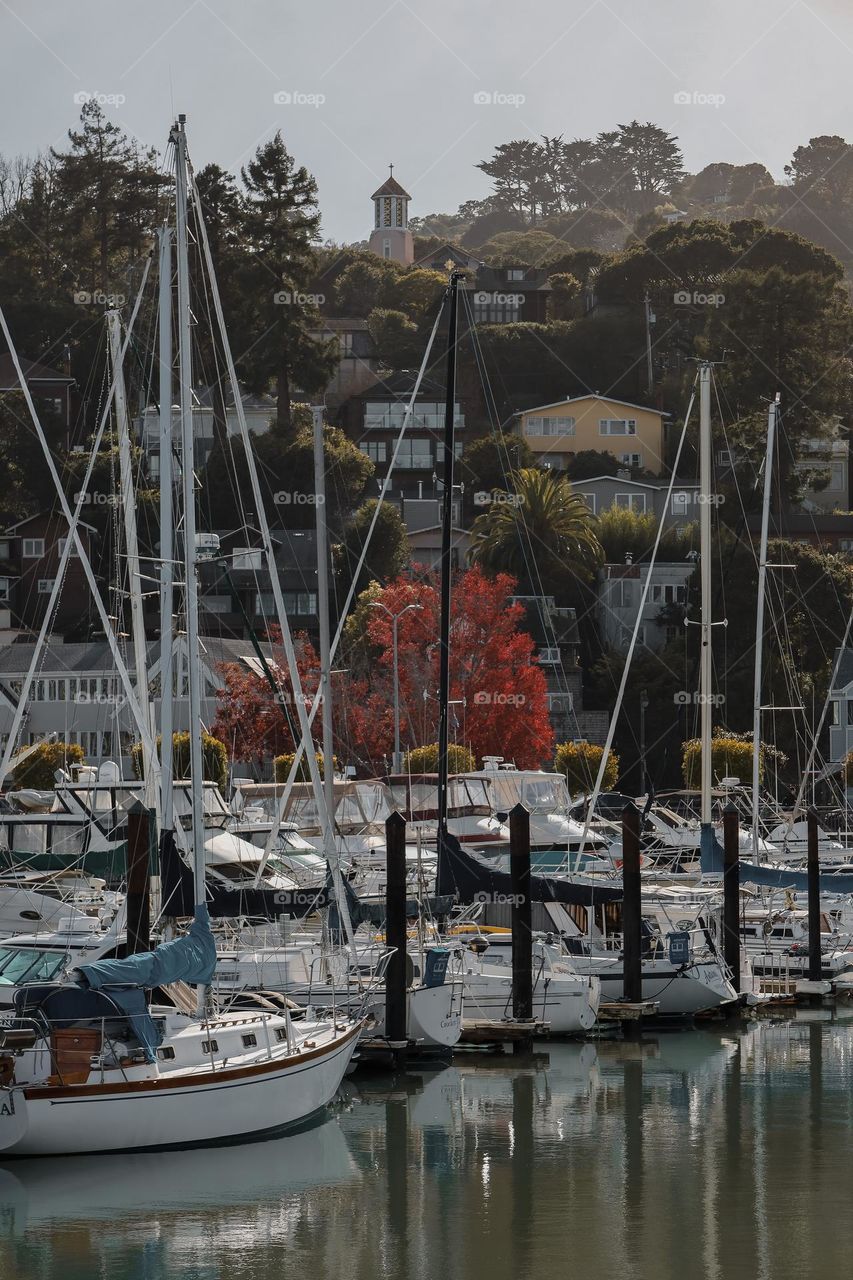 Boats and a hill