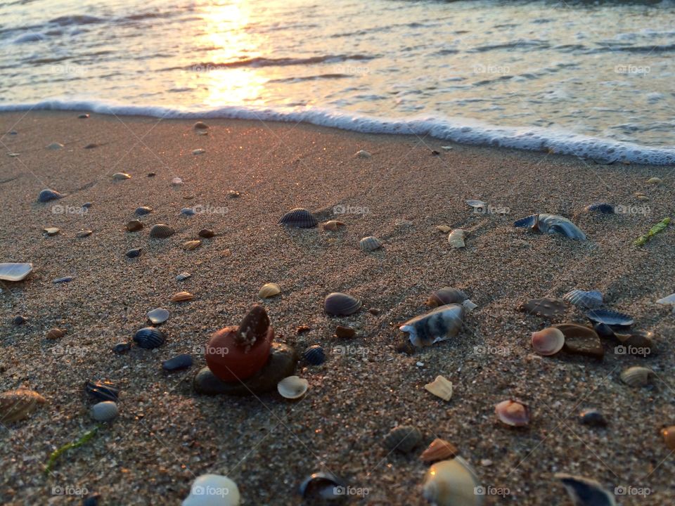 Shells and stones on a beach at sunrise