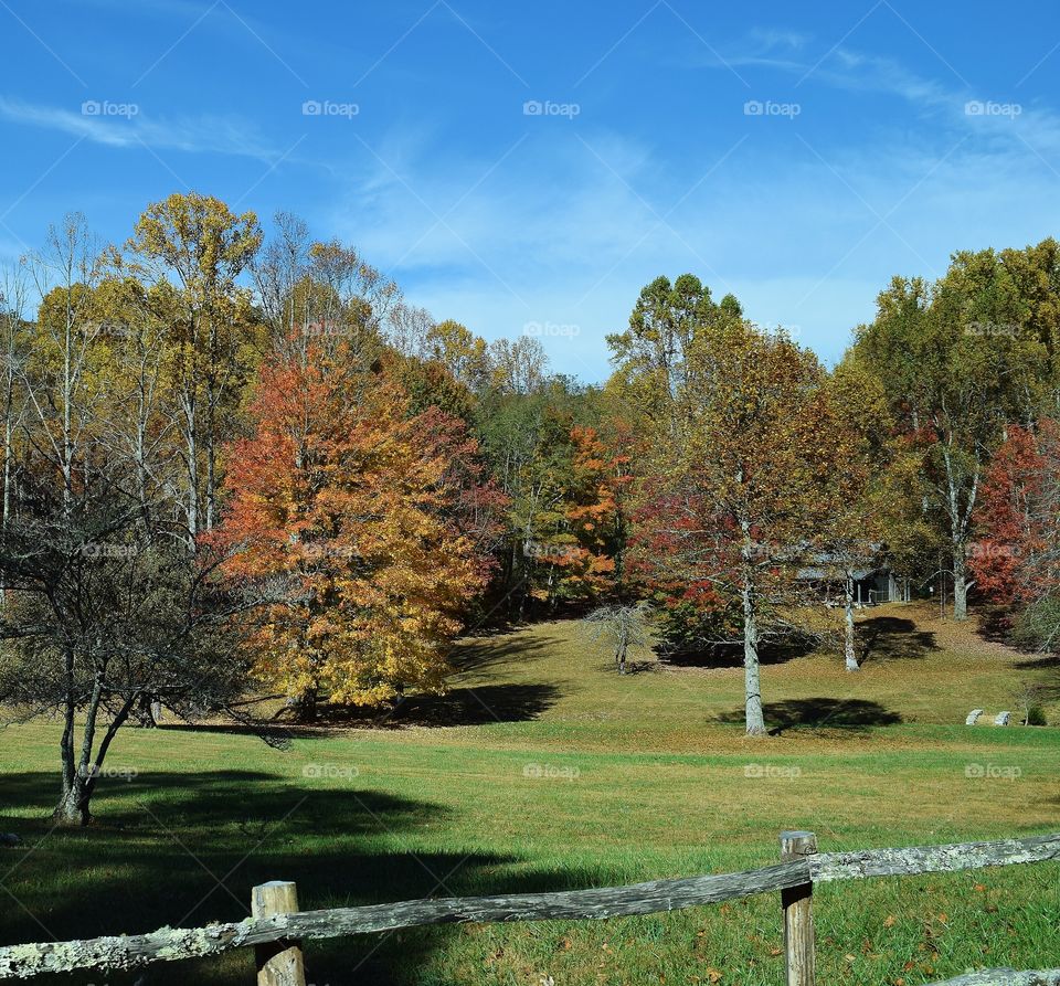 Farm  in the Fall