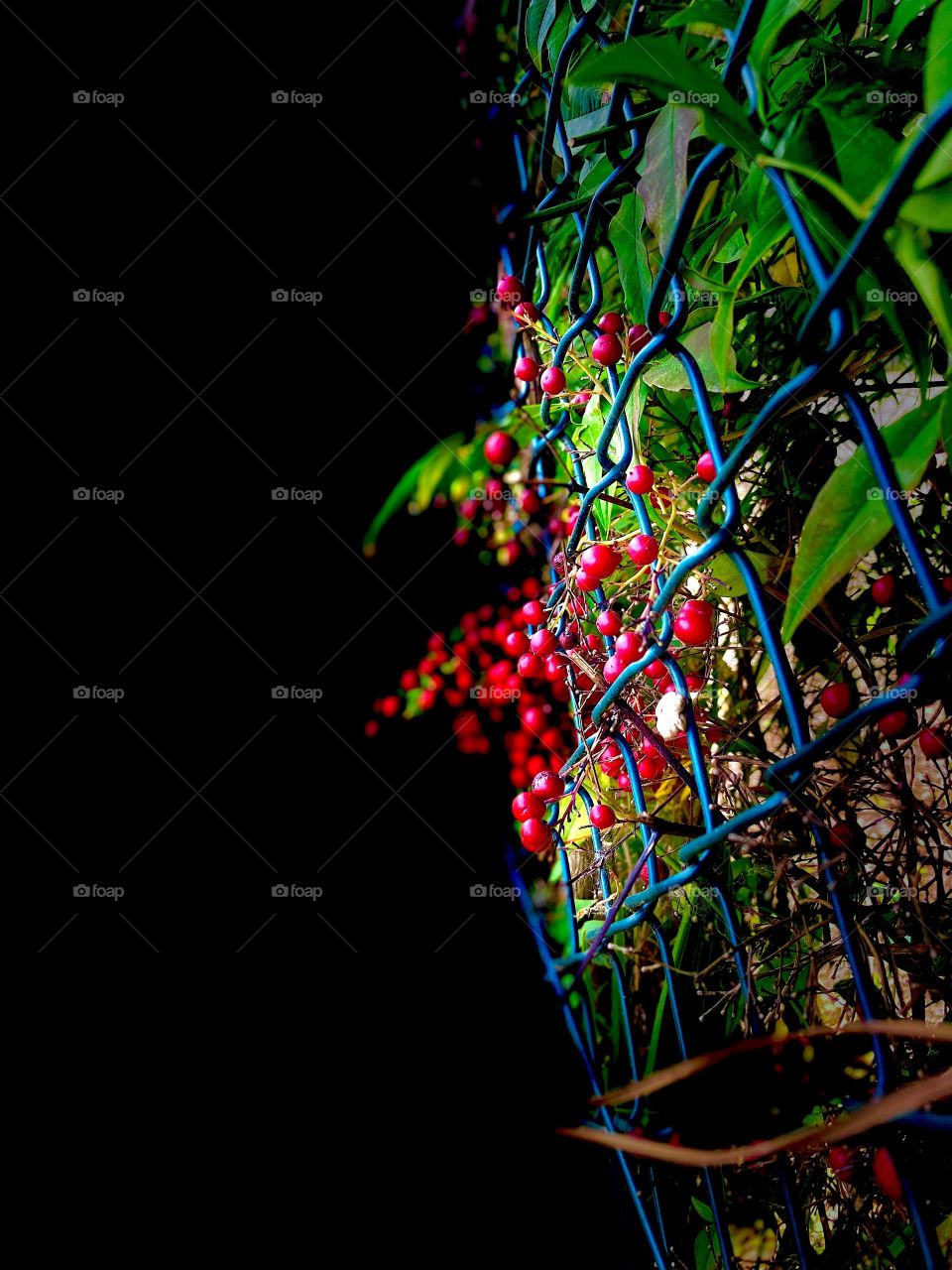 the little things make a difference