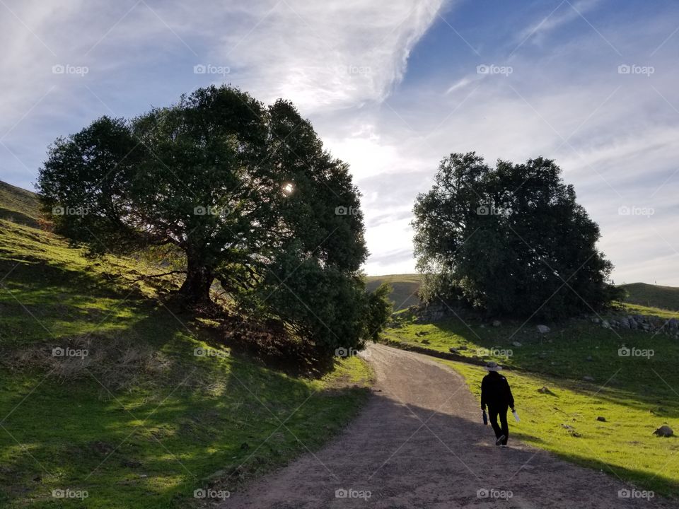 Morning walk, investing in health