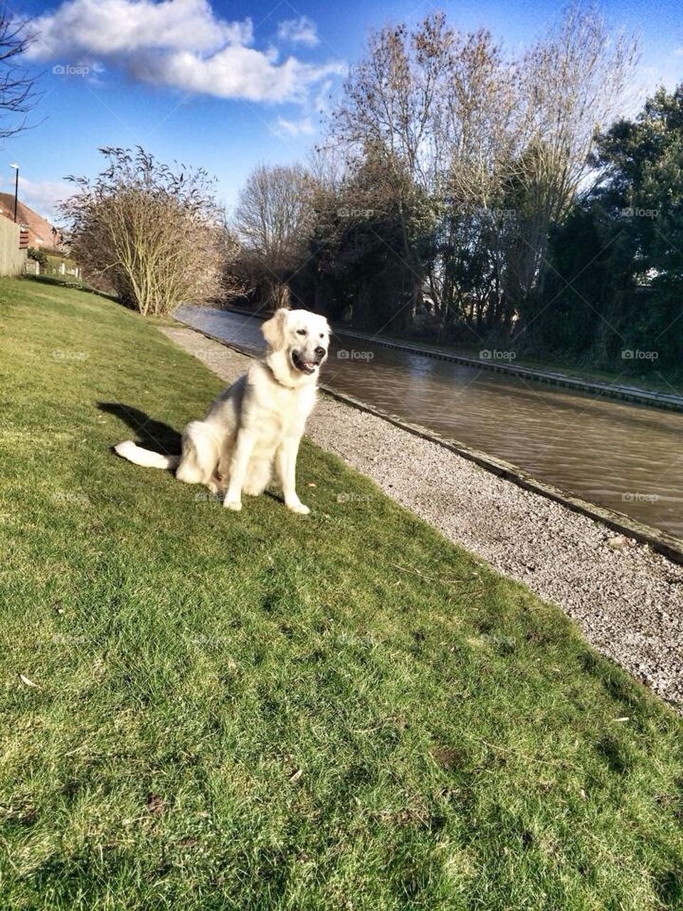 Zoe posing at the canal