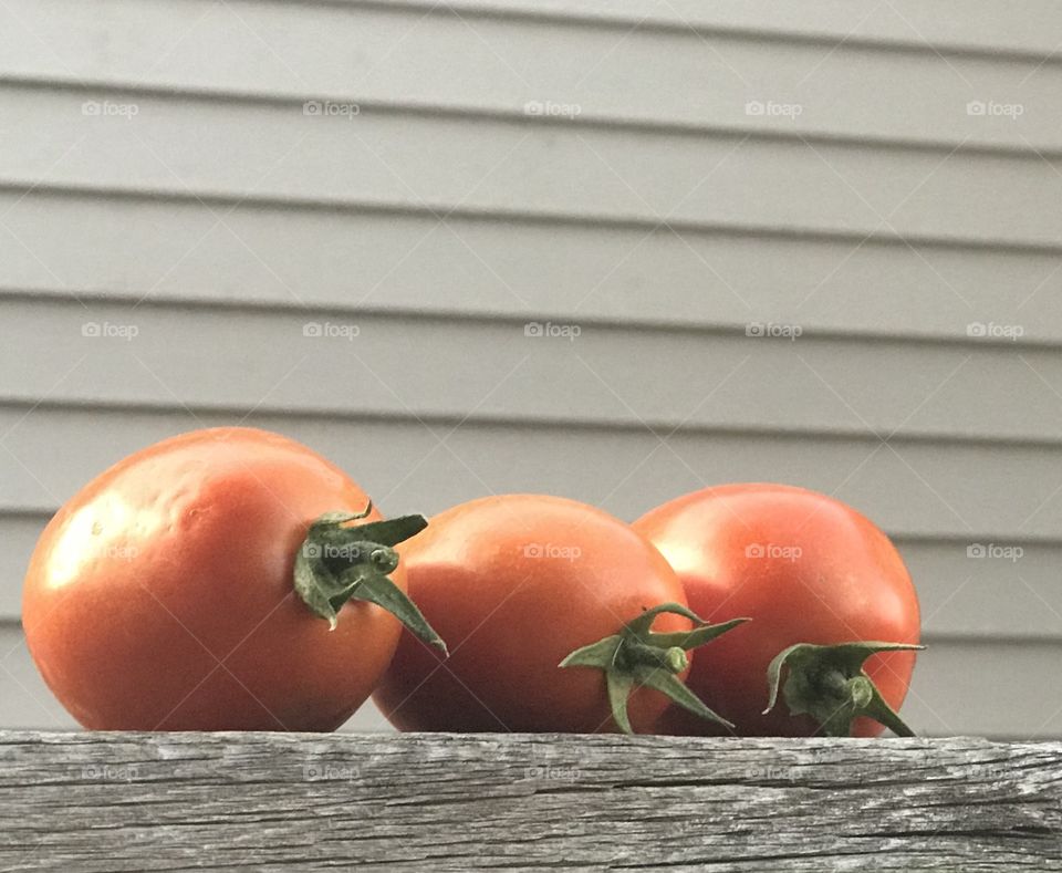 Fresh Roma tomatoes 