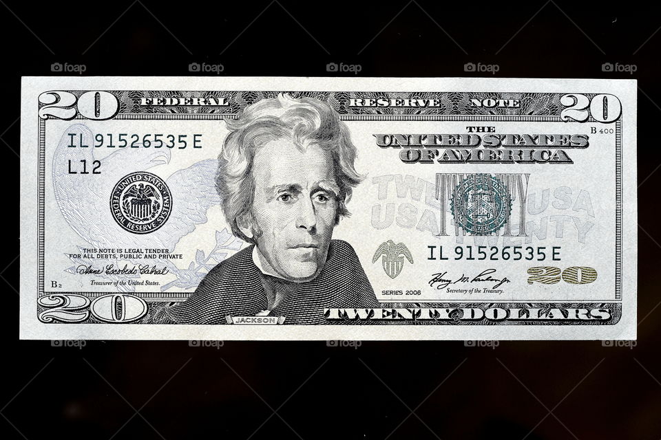 isolated american bank note of twenty us dollar