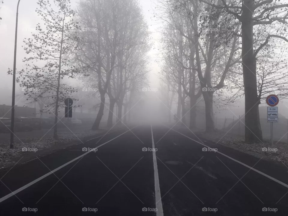 Fog