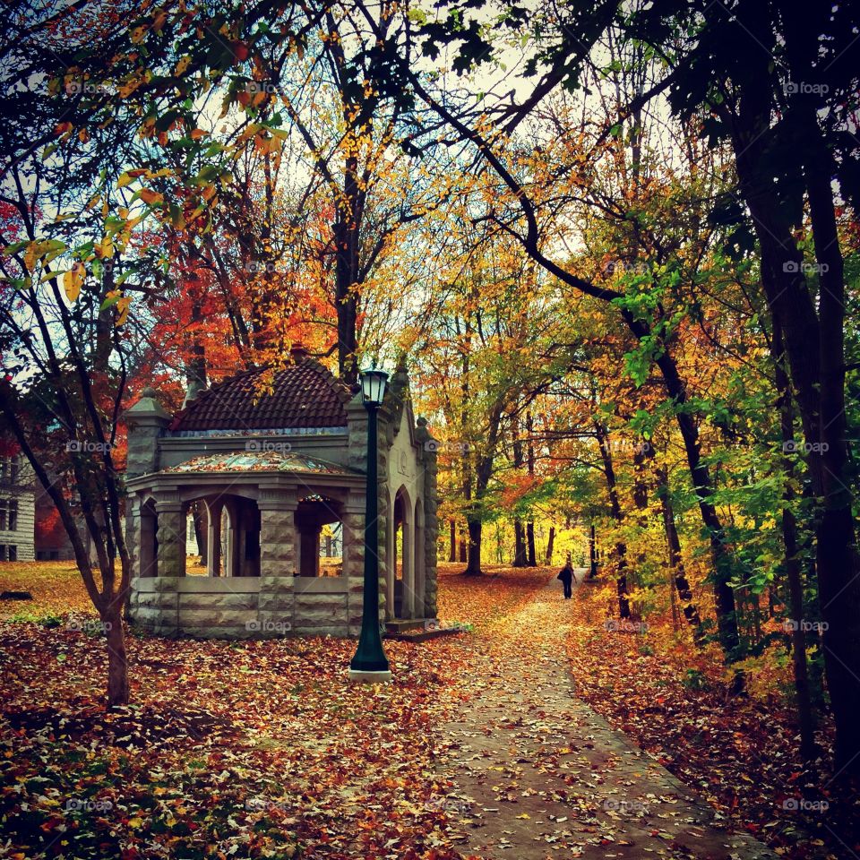 Fall on Campus