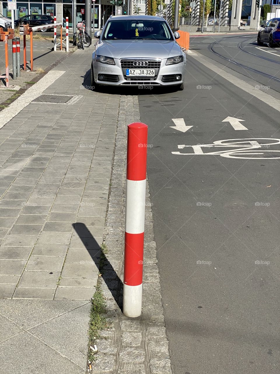 A cat parking on a Bine Lane