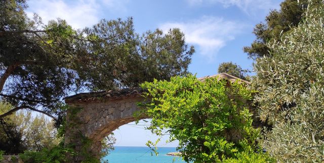 Plant bridge.