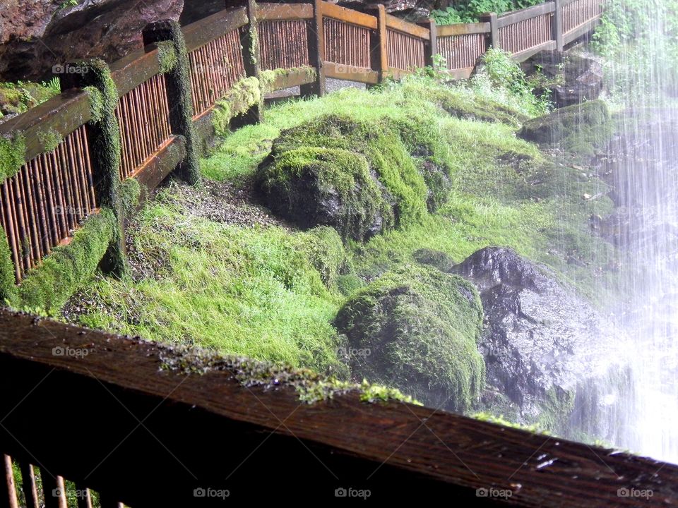 moss covered boulders and fence at the base of Dry falls in North Carolina