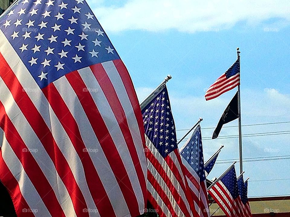 American Flags on Display