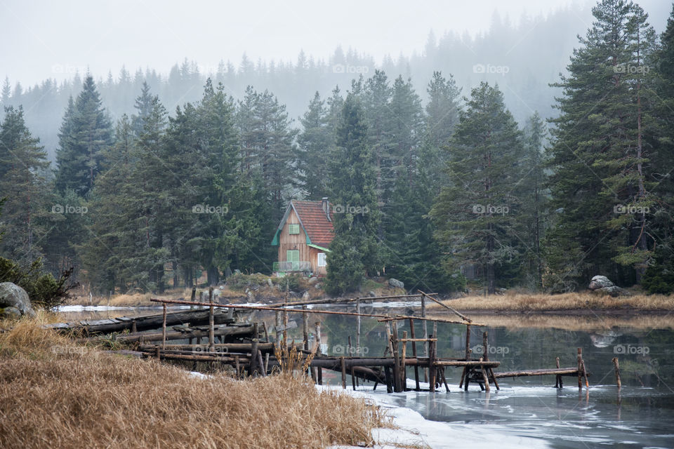 The lake house