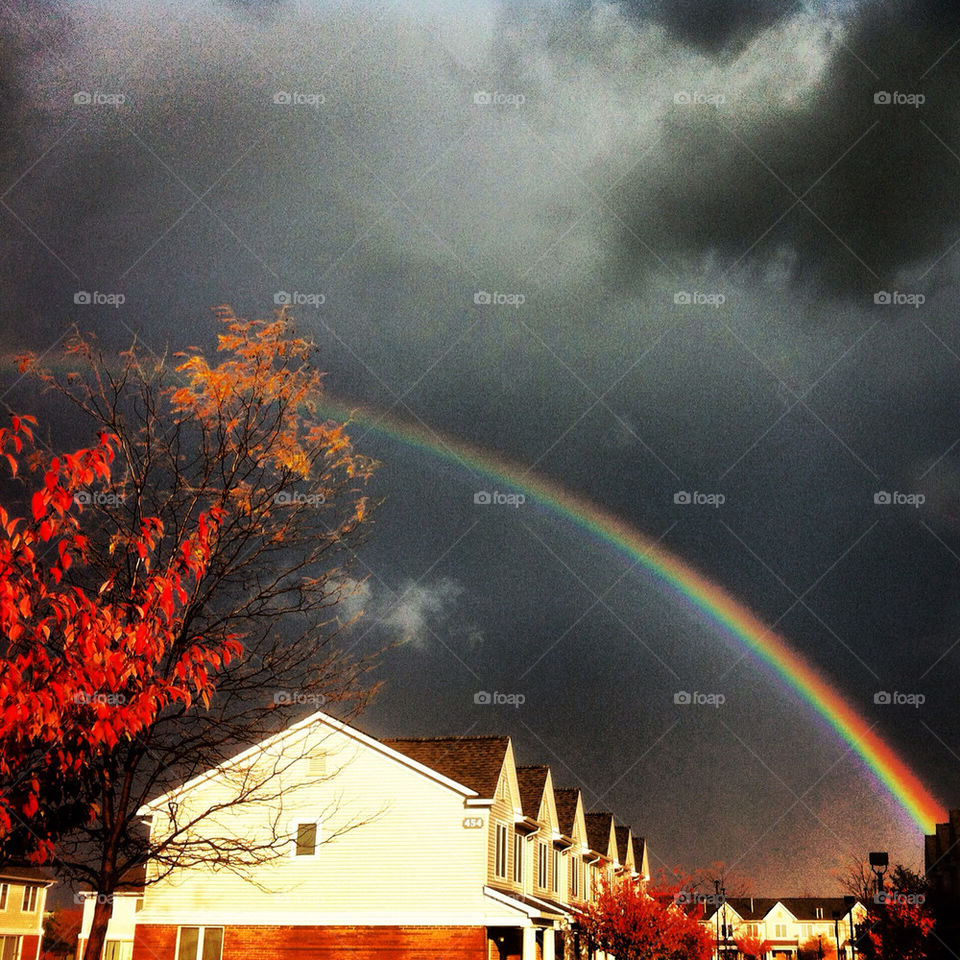 tree rainbow autumn storm by tonyalynn