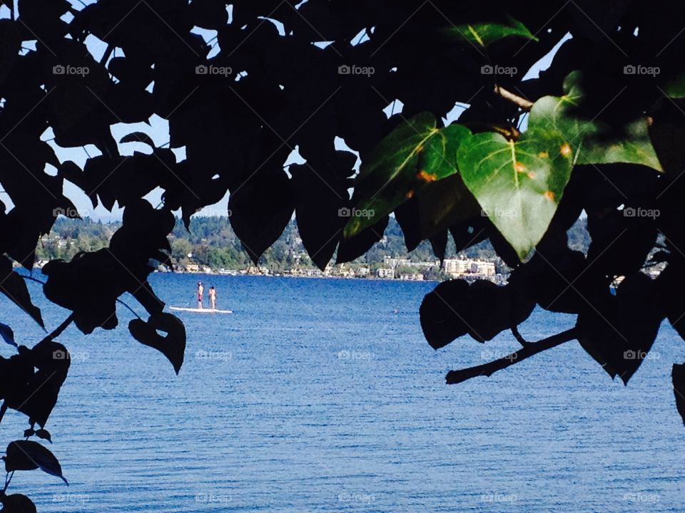 Paddle Boarding . Two people on a paddle board