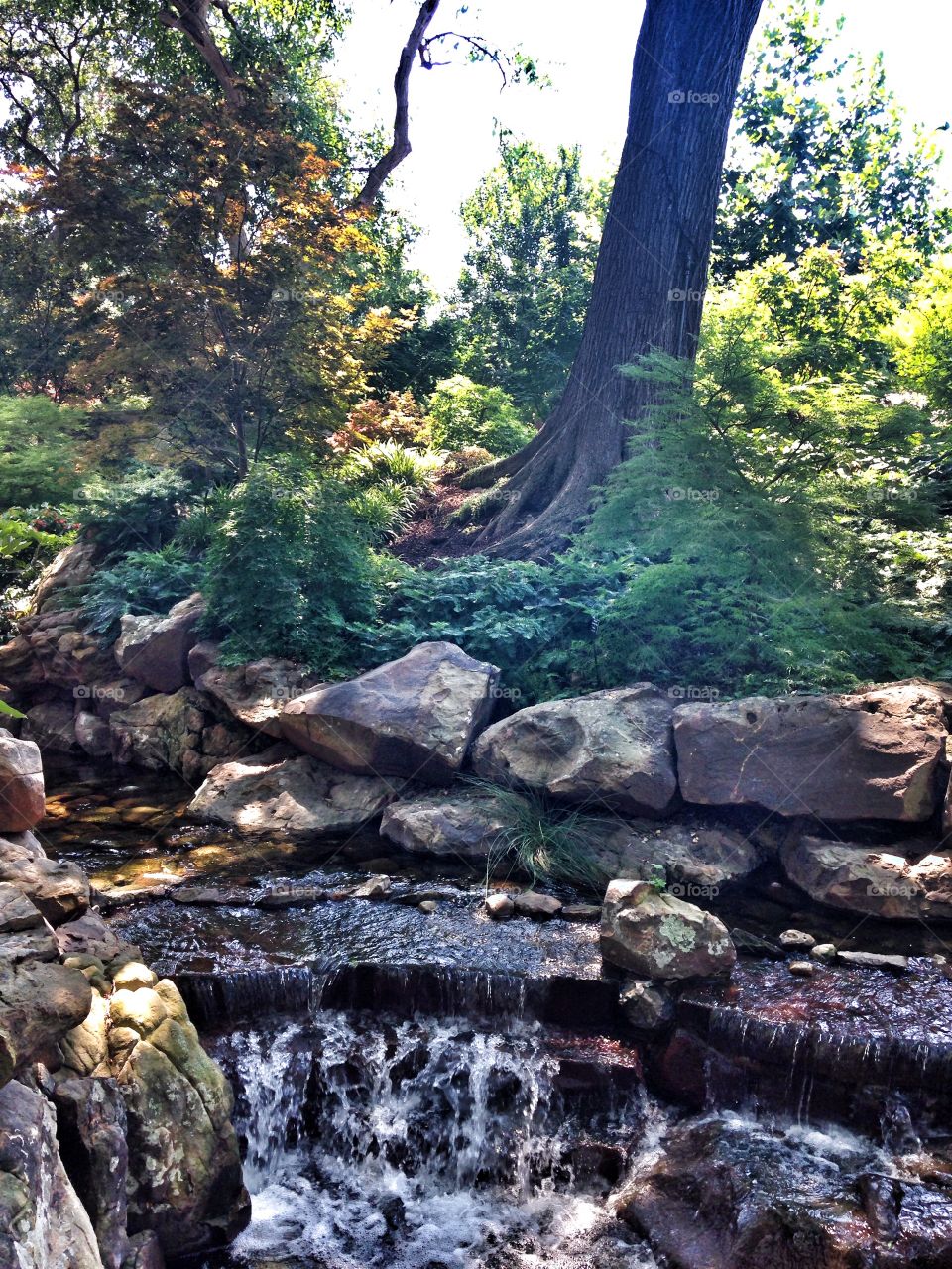 Nature's beauty. Waterfall and foliage at a nature park