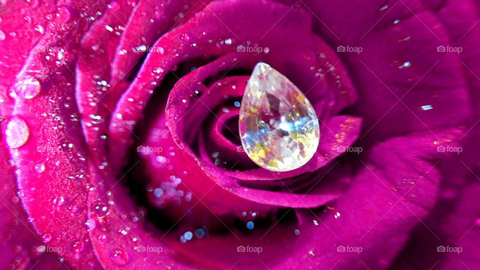 Small shinning zircon in violet rose