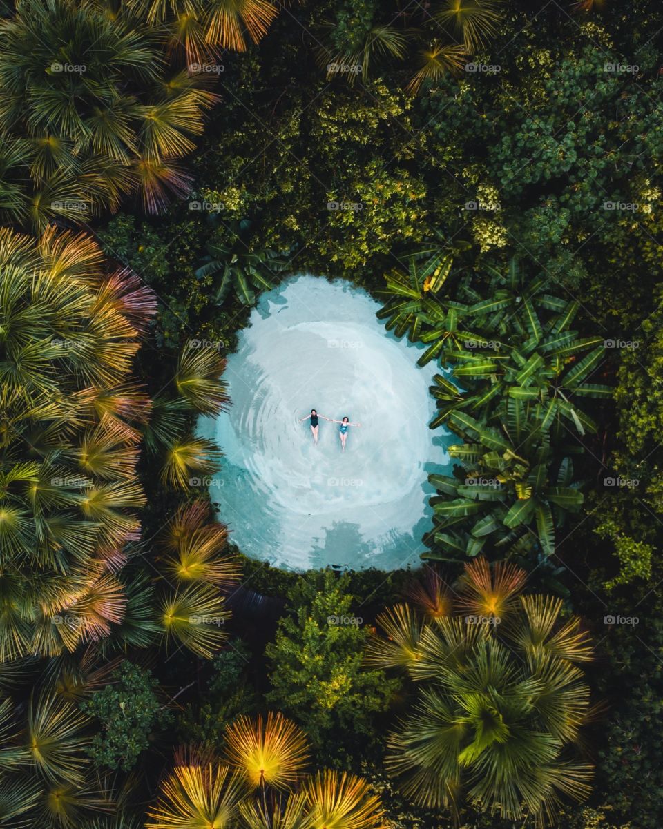 Plantas do Brasil envolvendo Fervedouro no Jalapão