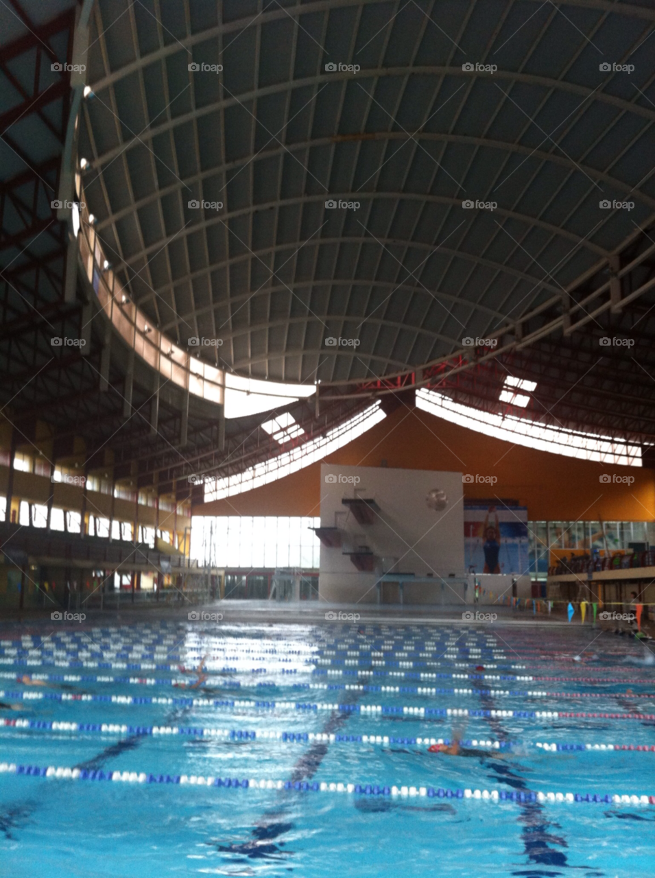 ceforma df pool swim gym by grb