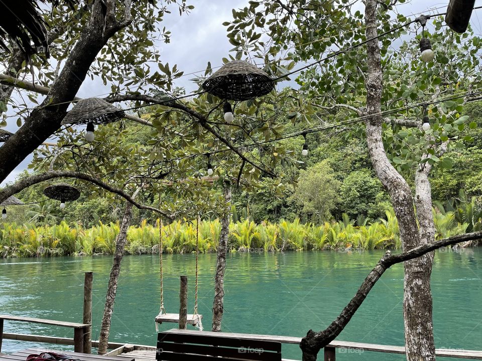Lunch by the fish tank. 