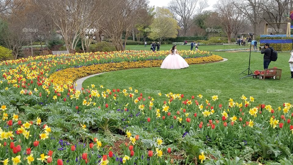 Dallas Arboretum used for many events