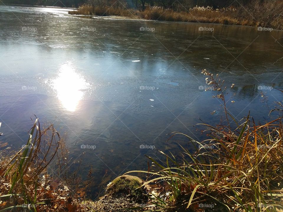 Partly frozen lake in a park