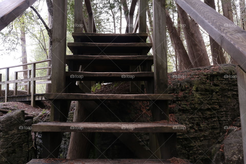 rustic stairs in a forest