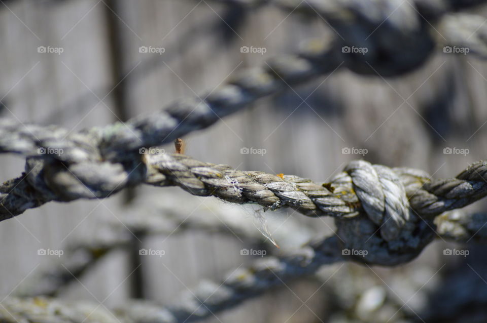 Close-up of a knotted rope fence