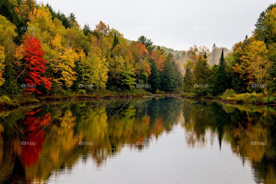 Canadian autumn