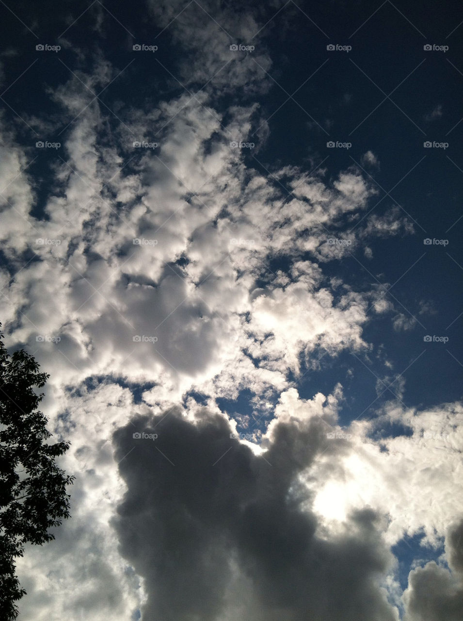 sky tree clouds sun by kgrace