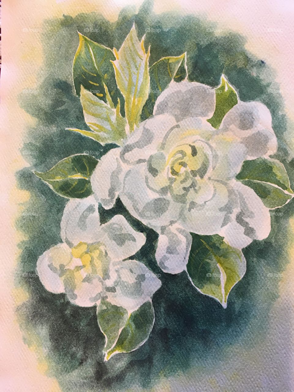 Watercolor painting of gardenia