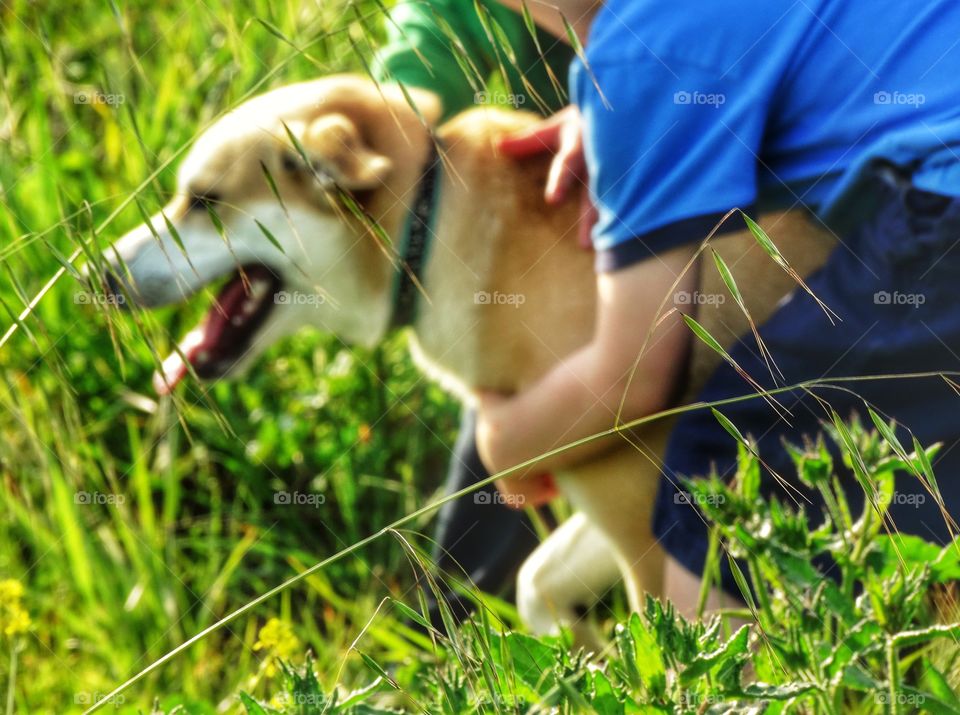 Very Happy Dog