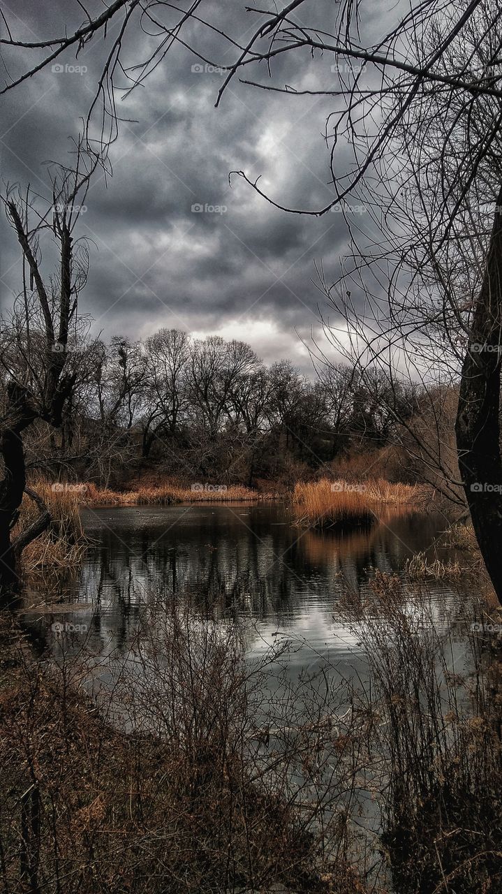 Oak Glenn California