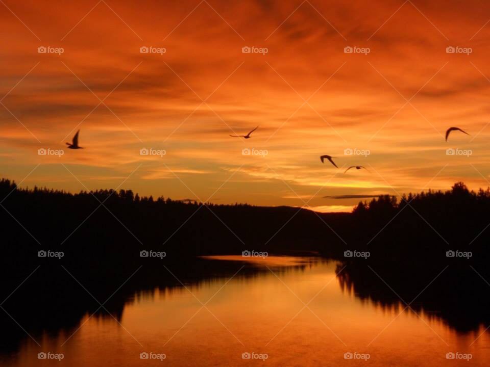 Orange sunset in Sweden 🇸🇪