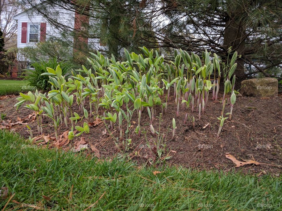 spring is in the air