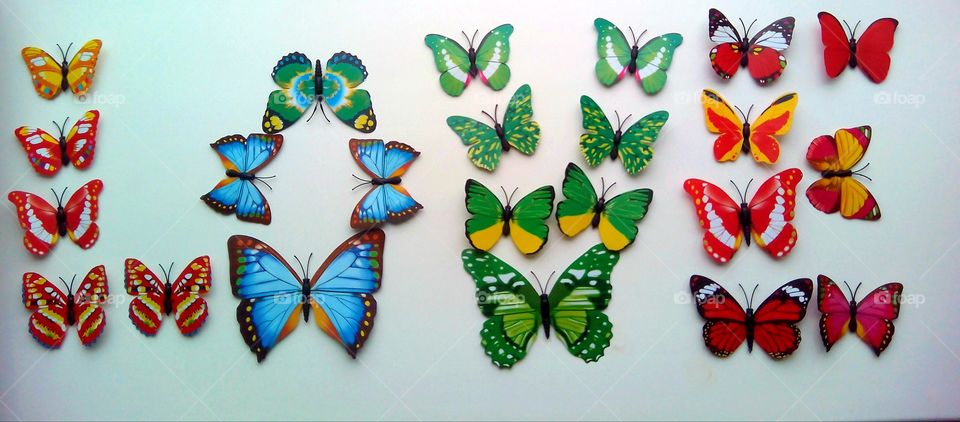 No Person, Butterfly, Decoration, Flower, Design