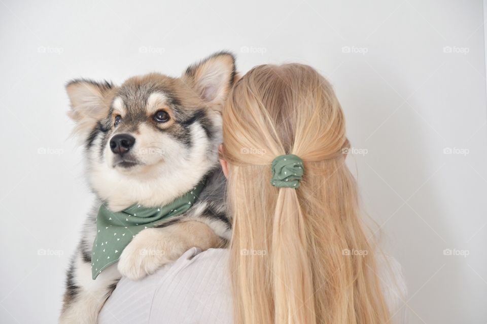 Photo of a blonde woman holding a young puppy finnish lapphund dog wearing matching bandana and scrunchie