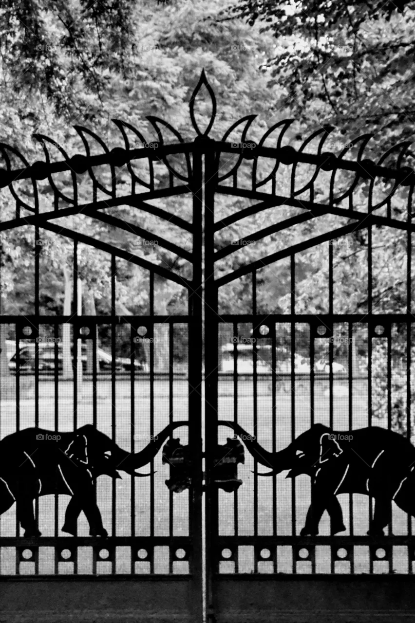 gate