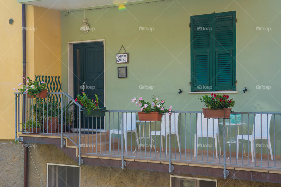 Balcony plants