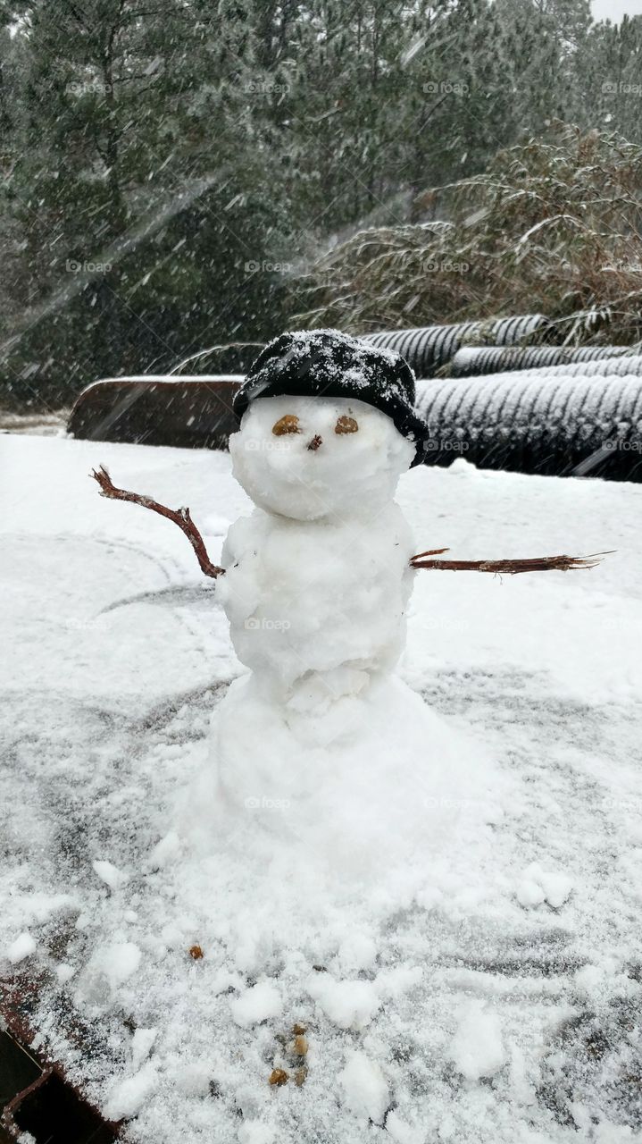 mississippi snowman