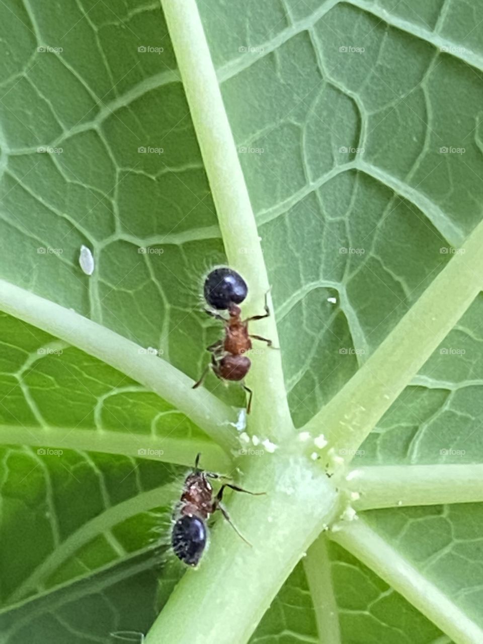 Small creatures also look beautiful🤩