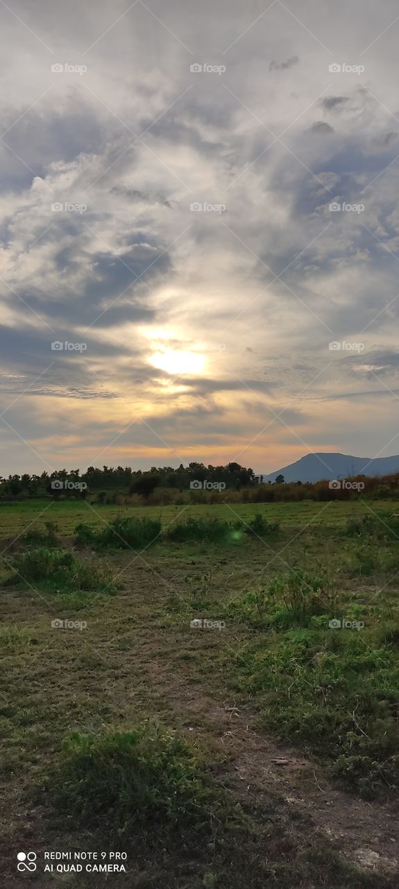 The view of the setting sun is pleasing to the mind