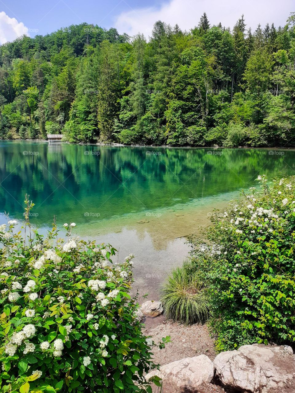 Alpsee, Hohenschwangau