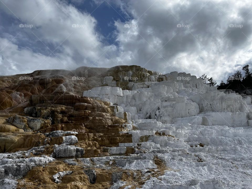 Mammoth hot springs in Yellowstone national park. 