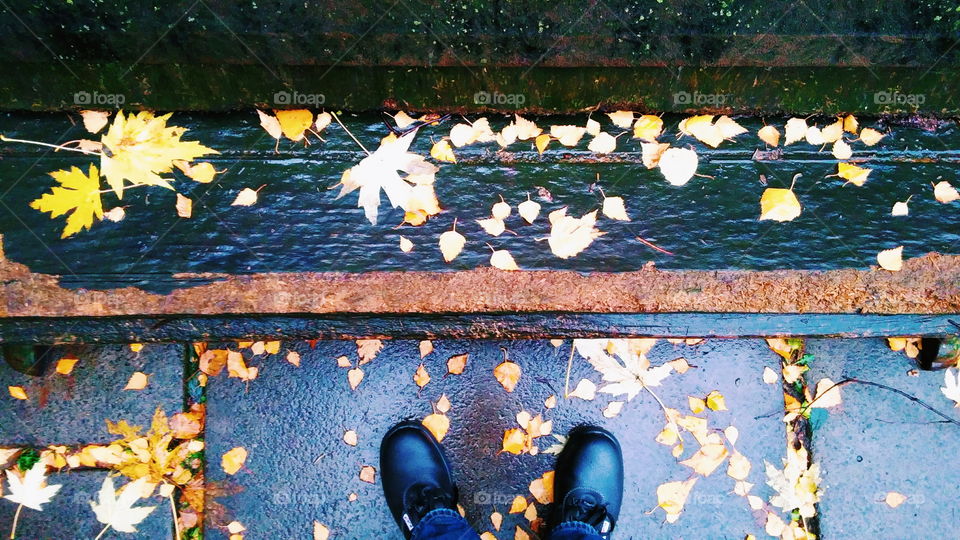 autumn wet leaves on park bench